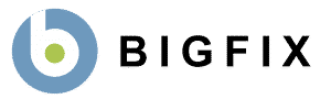 Bigfix Logo