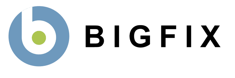 Bigfix Logo